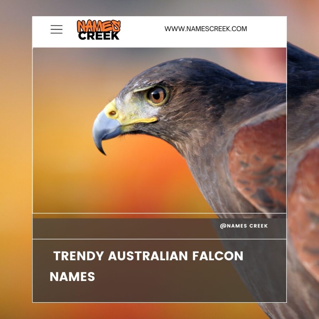 380 Falcon Names: A Proper List For Your Majestic Falcon