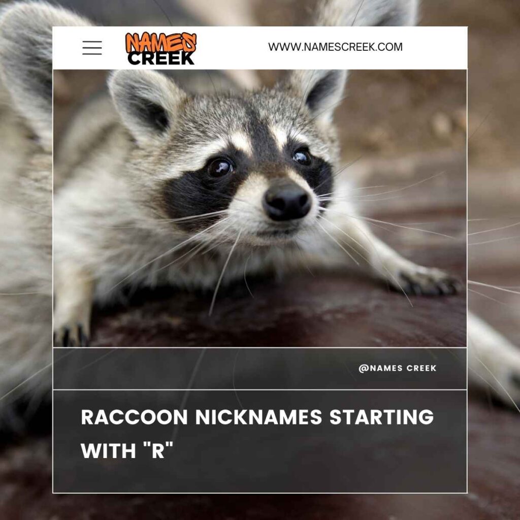 Raccoon Nicknames Starting with R
