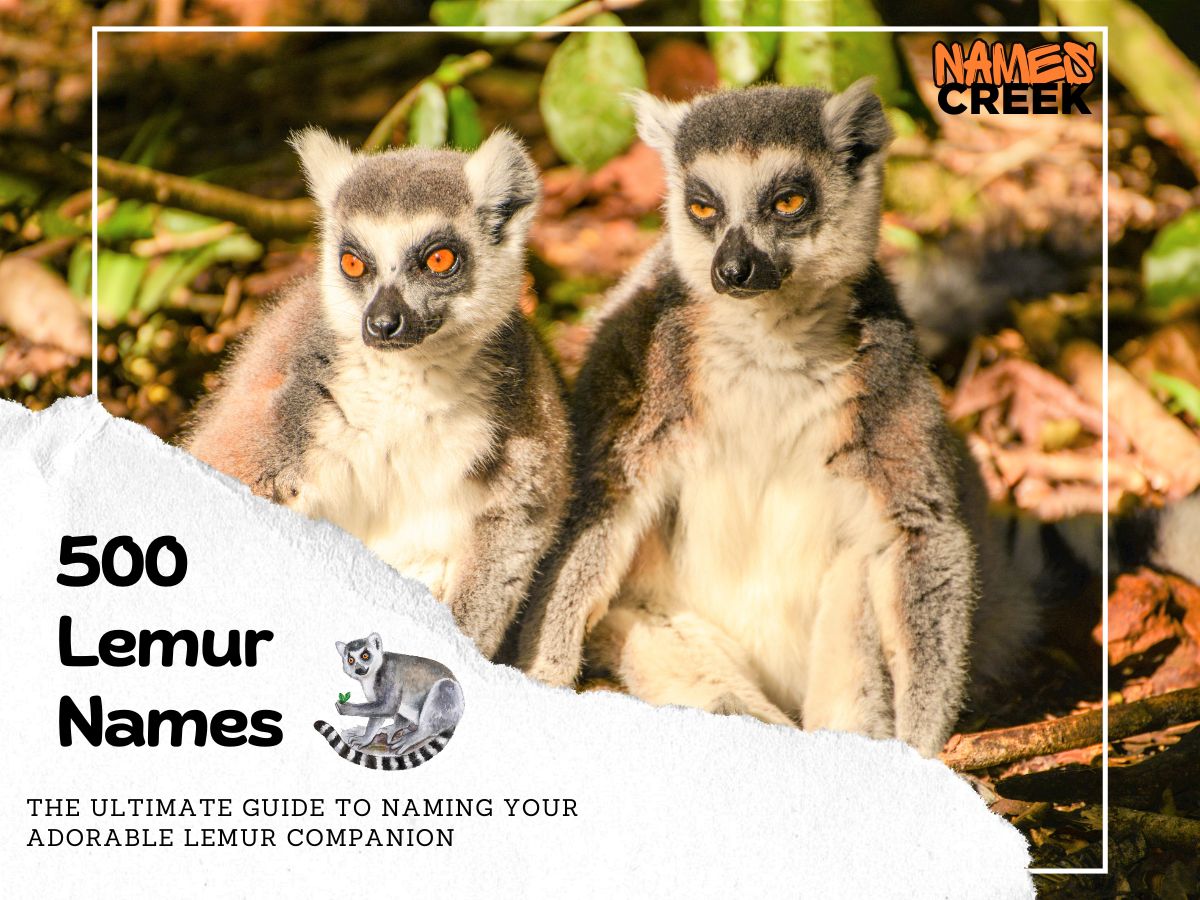 500 Lemur Names: The Ultimate Guide to Naming Your Adorable Lemur Companion