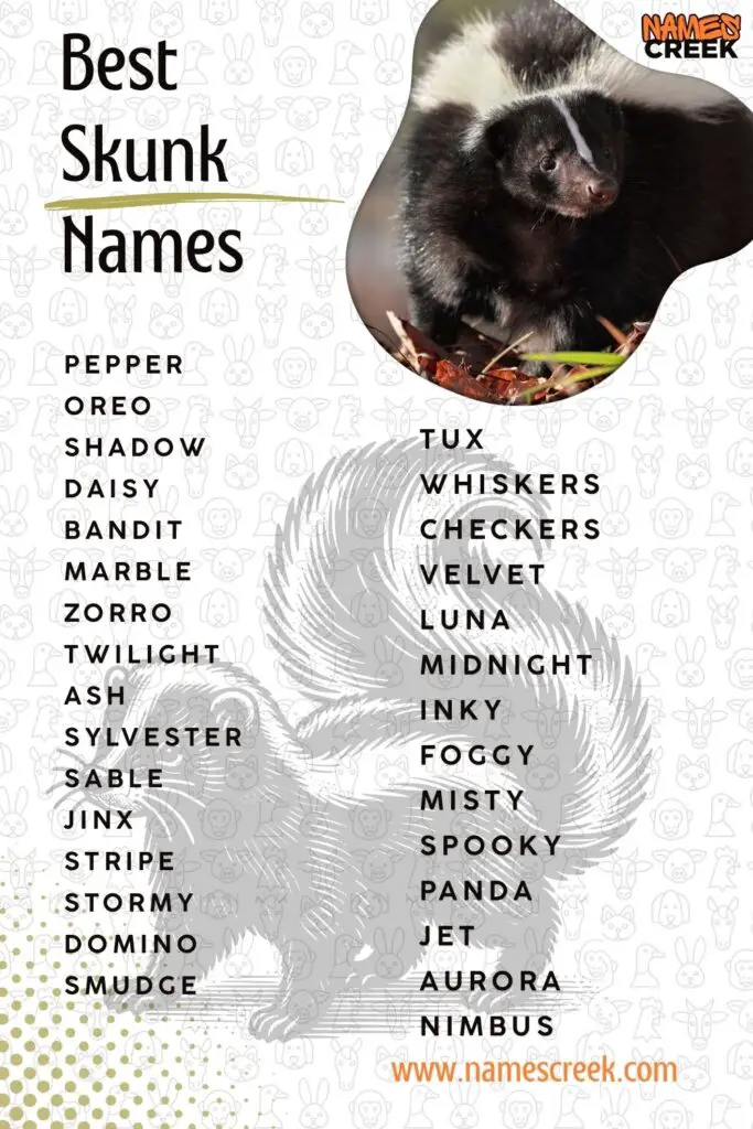 Best Skunk Names