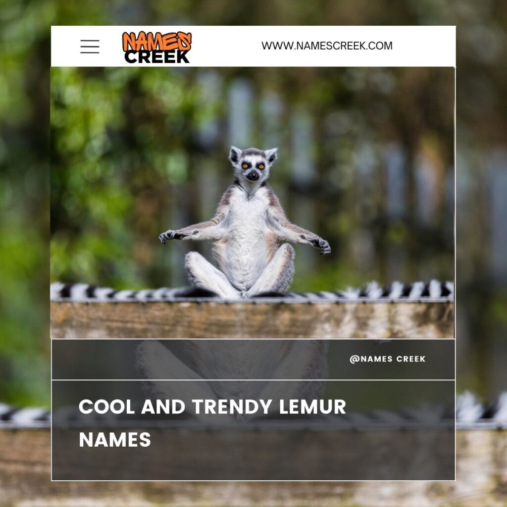 Cool and trendy Lemur Names