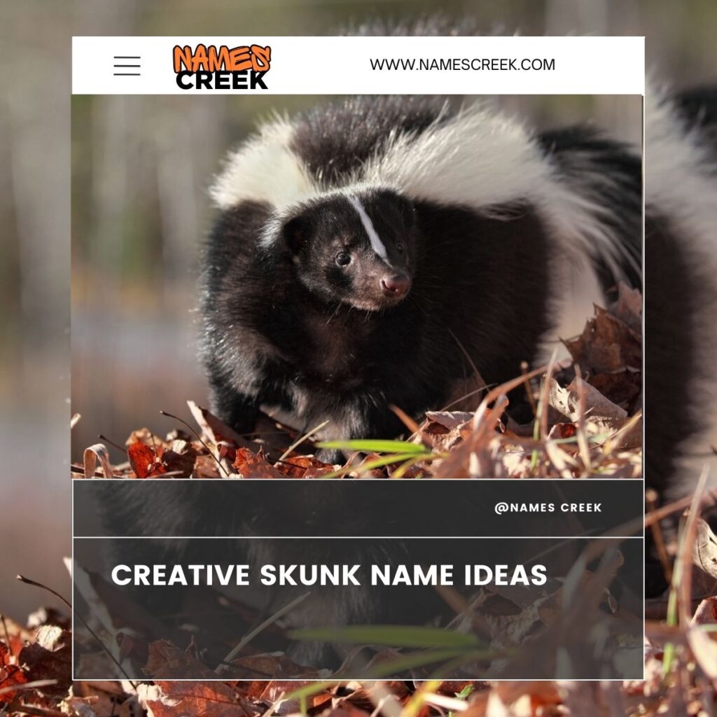 Creative Skunk Name Ideas