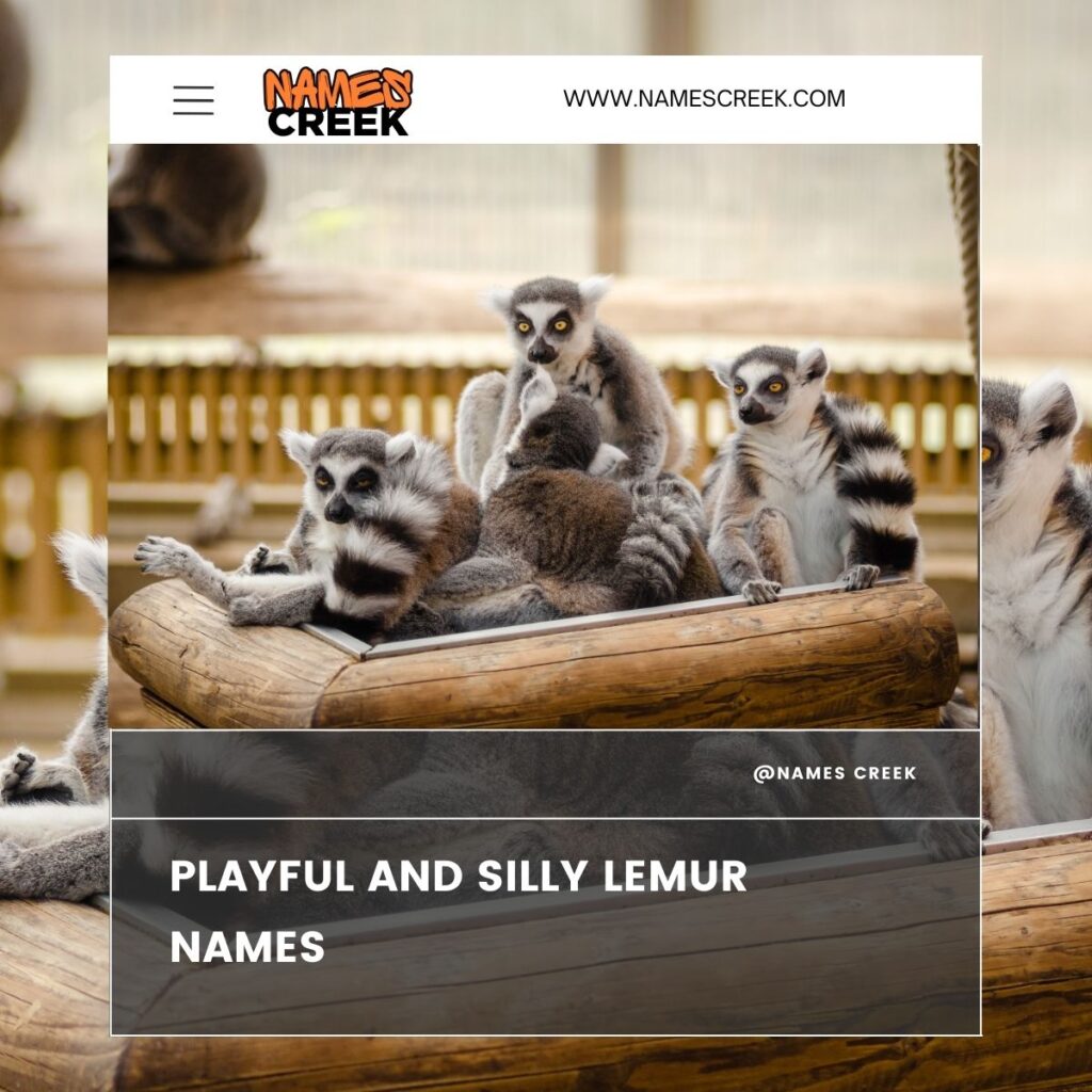 Playful and silly lemur names