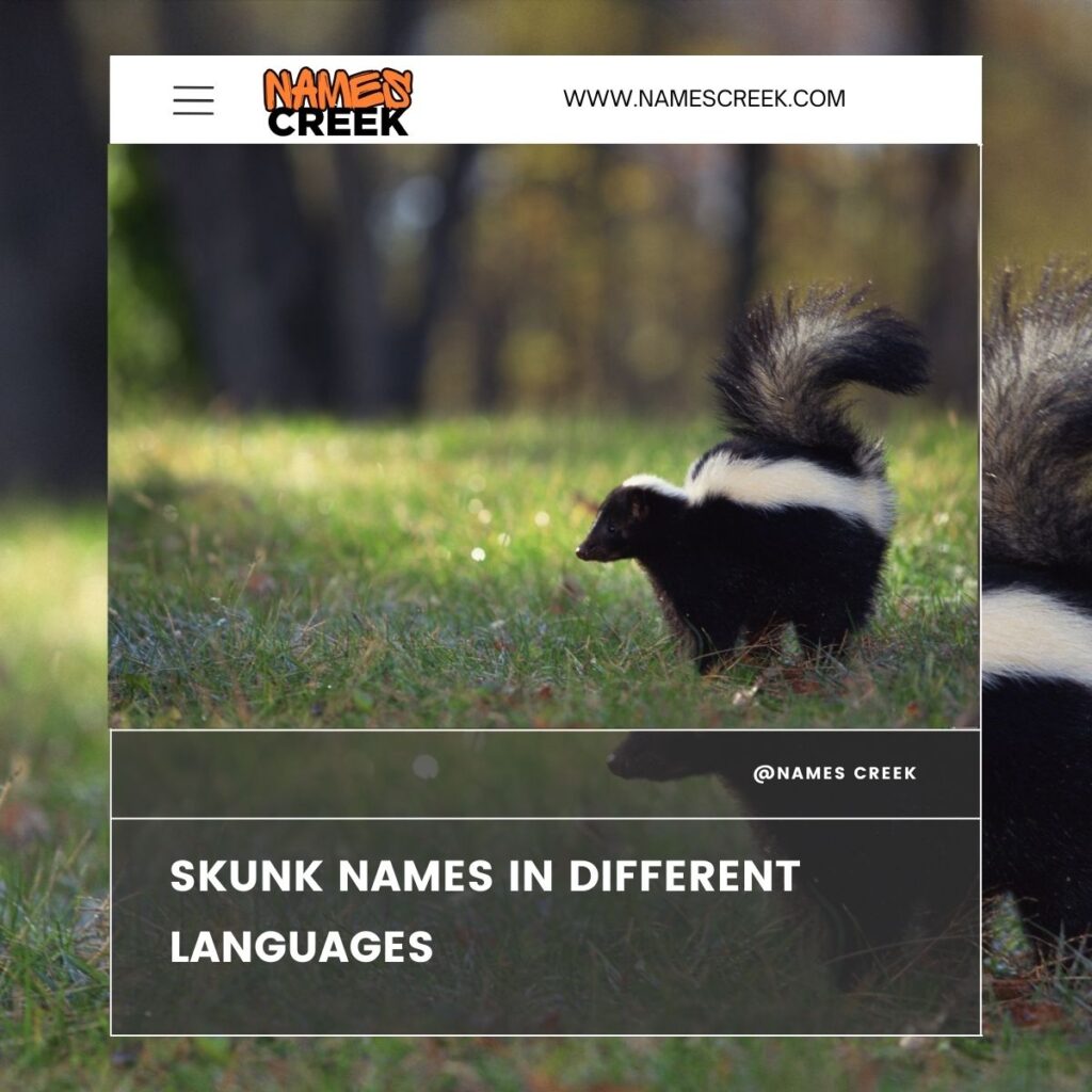 Skunk names in different languages