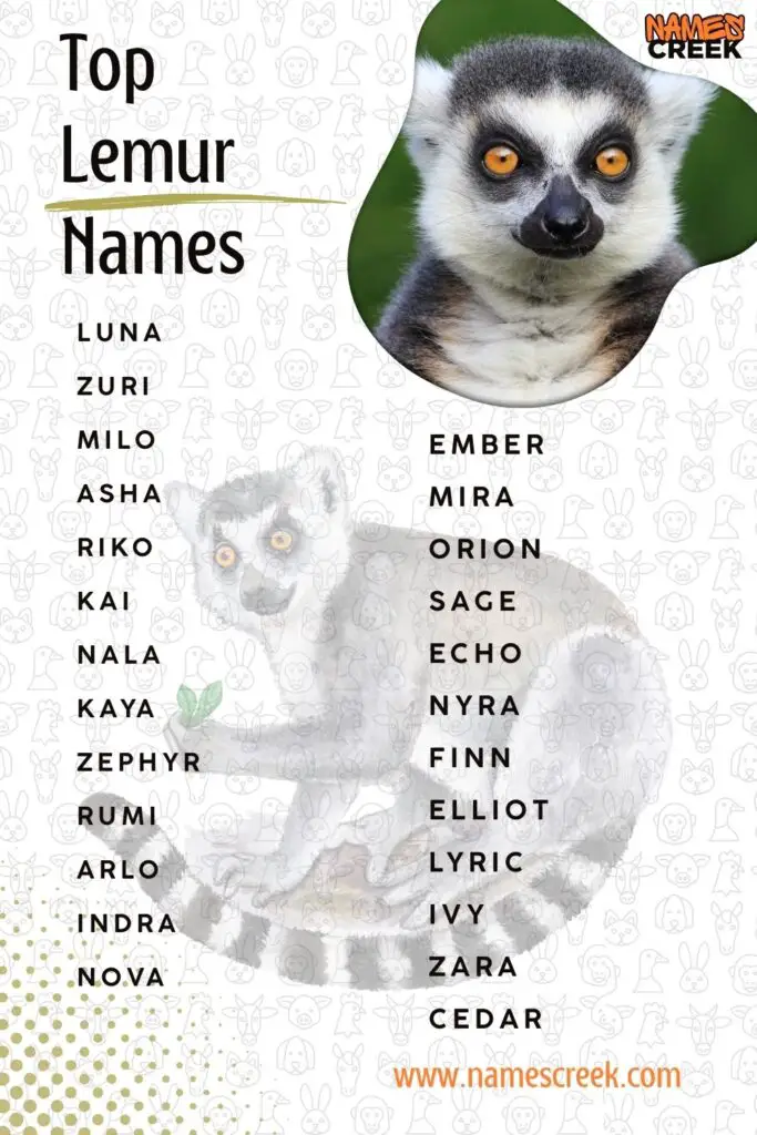 Top Lemur Names with Meaning