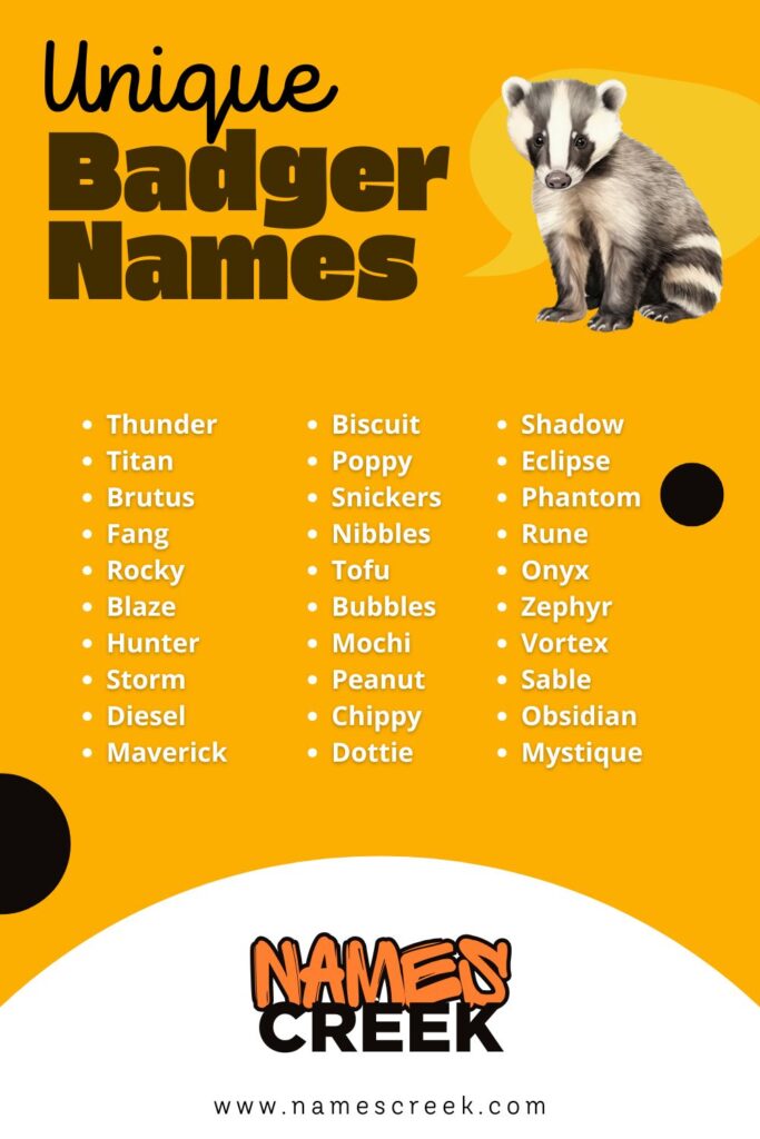 Unique Badger Names