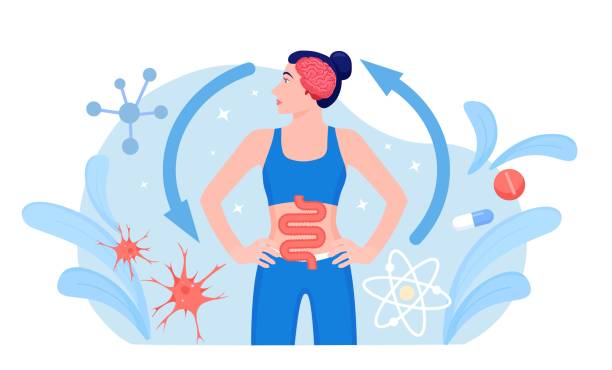 The Link Between Gut Health and Mental Health