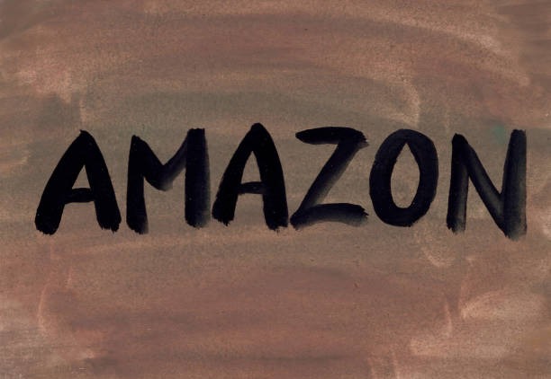 Why Amazon Publishers Need Article Writing Agencies in 2025