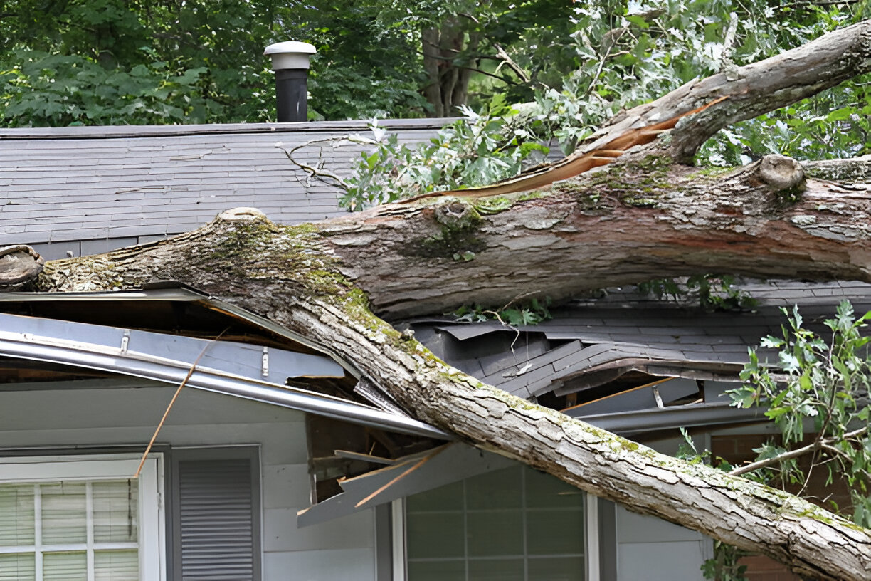 Damage and Your Roof