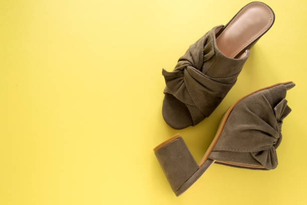Mule Shoes