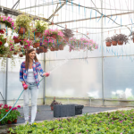 Beyond the Flowerbeds: How a Smart Sprinkler System Can Elevate Your Home’s Curb Appeal